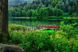 karagol, Artvin, Turkey, Landscape, Nature, Beauty, Amazing, Lake, Forest, Sky