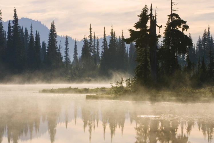fog, Tree, Forest, Autumn, Nature, Beauty, Mist, Landscape, Lake, Mountain HD Wallpaper Desktop Background