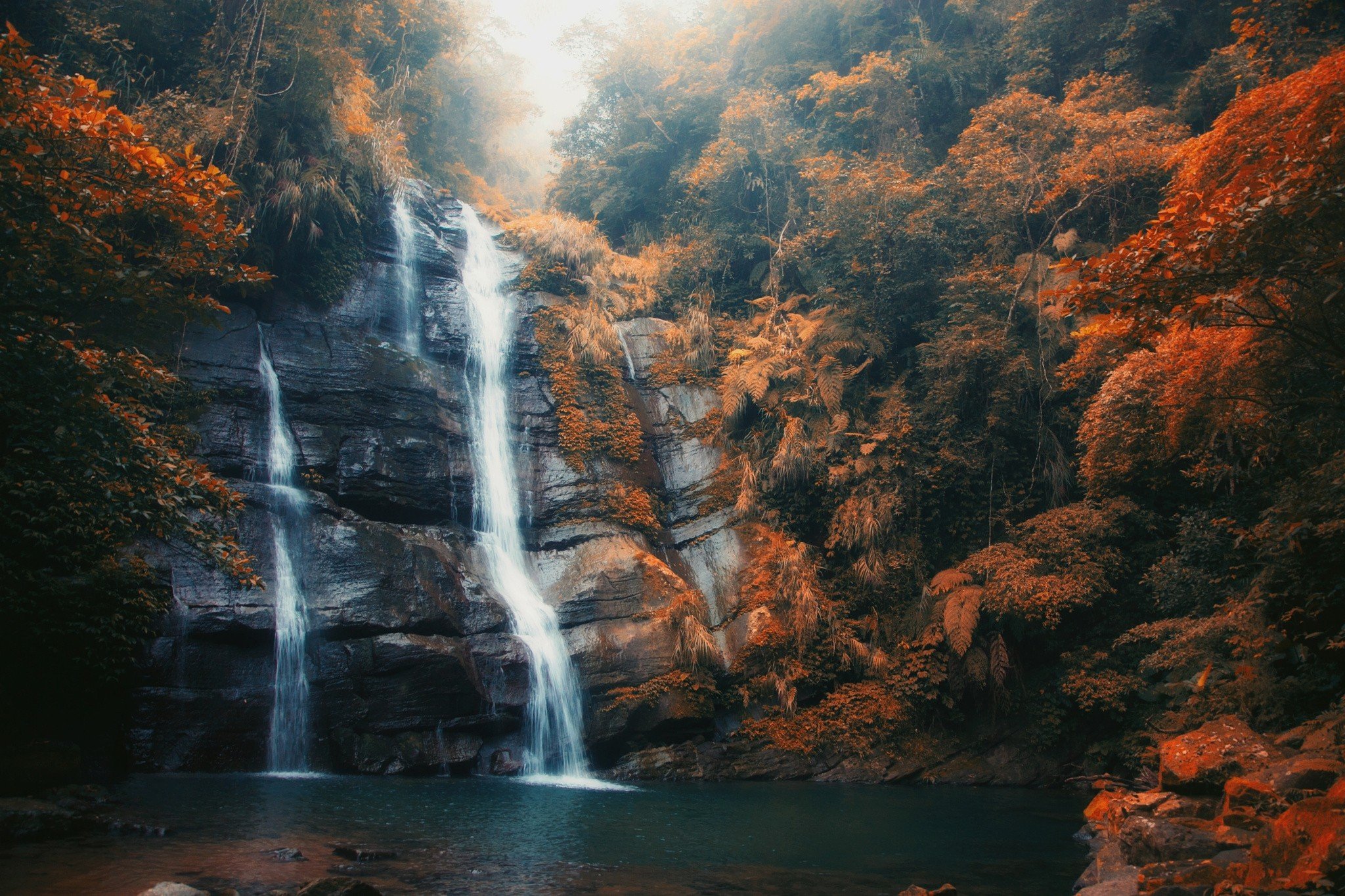 waterfall, Forest, Tree, River, Landscape Wallpaper