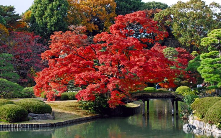 japan, Trees, Autumn, Bridges, Lakes, Colors HD Wallpaper Desktop Background