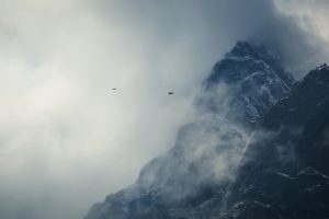 nature, Mist, Mountains, Birds, Amazing