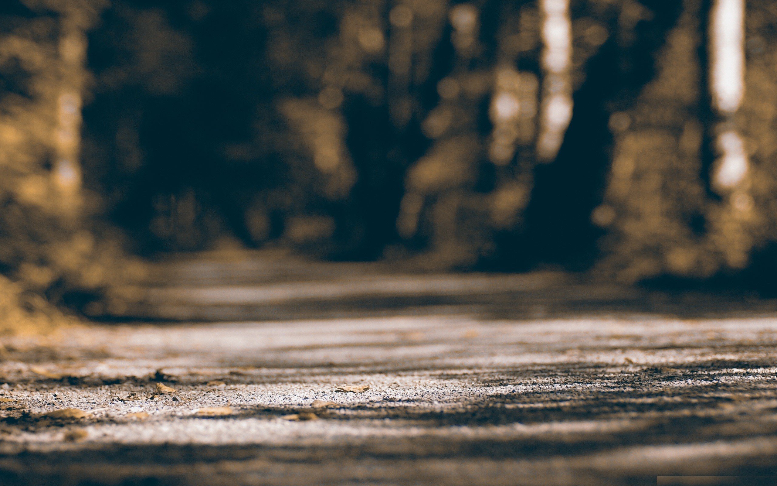 forest, Bokeh, Roads, Alley Wallpaper