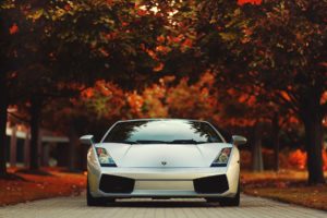 autumn, Cars, Leaves, Vehicles, Lamborghini, Gallardo