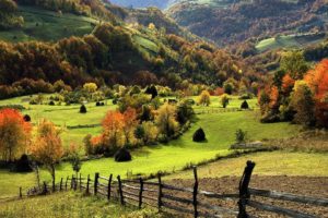 nature, Landscape, Trees, Forest, Mountain, Hill, Field, Grass, Fall, Fence