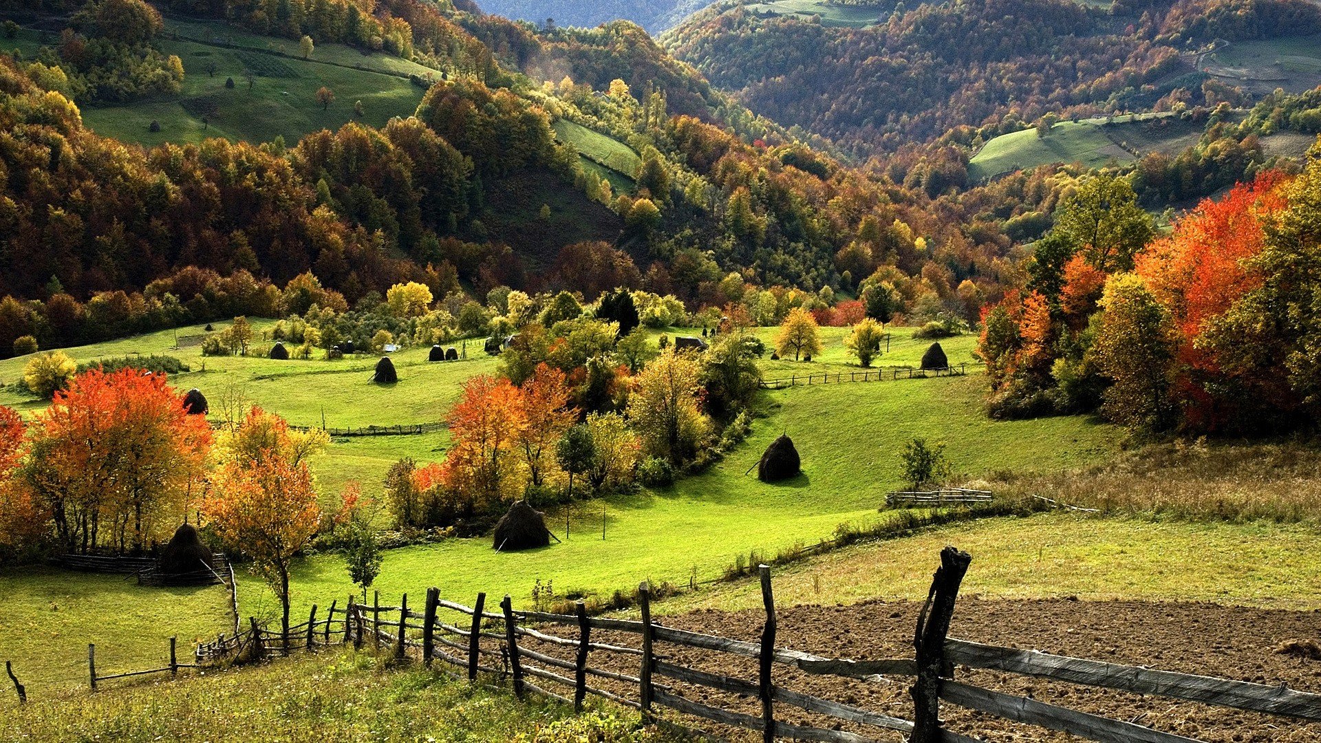 nature, Landscape, Trees, Forest, Mountain, Hill, Field, Grass, Fall, Fence Wallpaper