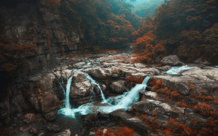 forest, Fall, Landscape, Nature, Taiwan, Shrubs, Mist, River, Trees, Waterfall HD Wallpaper Desktop Background