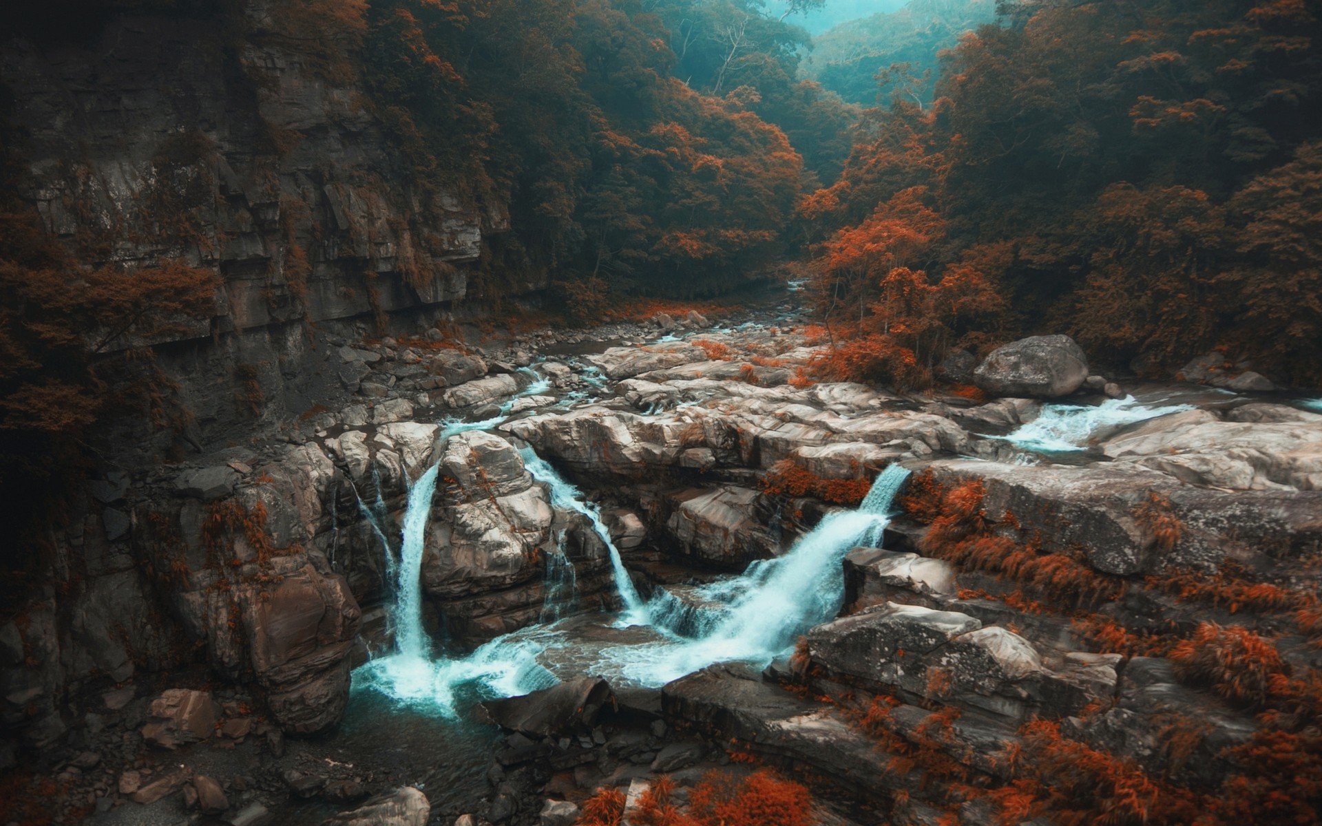 forest, Fall, Landscape, Nature, Taiwan, Shrubs, Mist, River, Trees, Waterfall Wallpaper