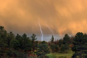 tormenta, Lluvia, Bosque, Rayos, Naturaleza