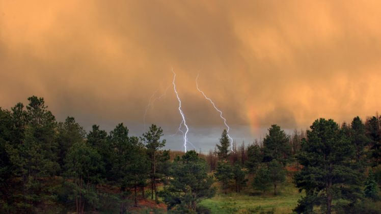 tormenta, Lluvia, Bosque, Rayos, Naturaleza HD Wallpaper Desktop Background