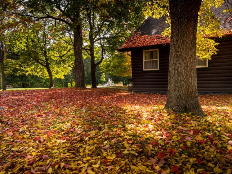 walk, Nature, Park, Bench, Leaves, Colorful, House, Trees, Forest, Colors, Autumn, Splendor, Fall, Autumn HD Wallpaper Desktop Background