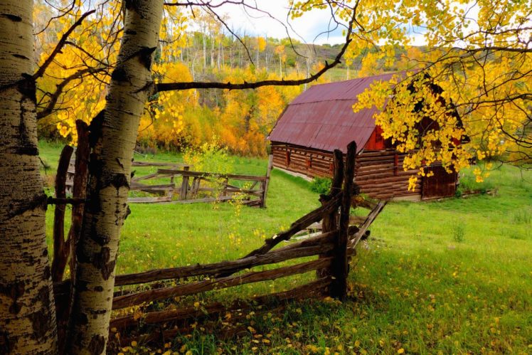 forest, Trees, Fall, Walk, Colors, Autumn, Splendor, House, Leaves, Nature, Colorful, Autumn HD Wallpaper Desktop Background