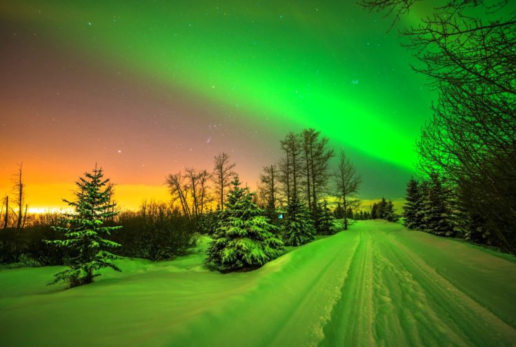 lights, Aurora, Borealis, Trees, Stars, Road, Sky, Snow, Winter, Beautiful HD Wallpaper Desktop Background