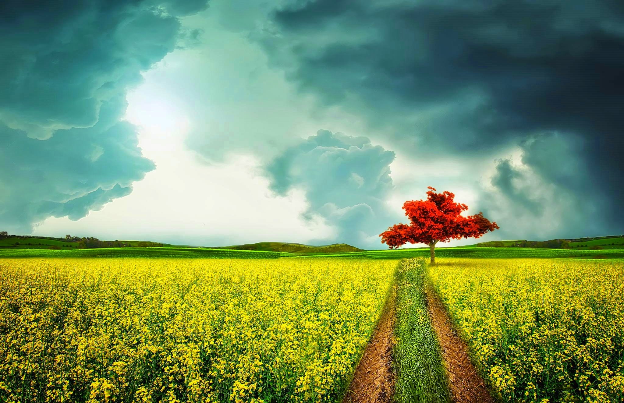 clouds, Spring, Field, Beautiful, Yellow, Red, Trees, Sky, Road, Blue, Flowers Wallpaper