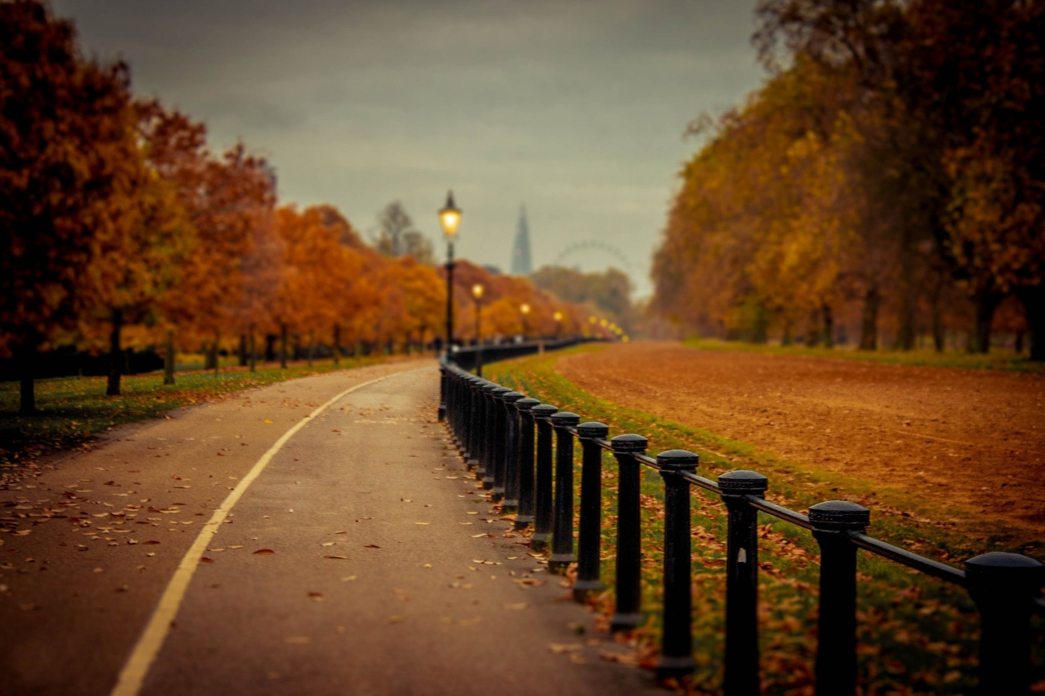 lanterns, Autumn, Leaves, Sky, Splendor, Road, Leaves, Alley, Nature, Fall, Path, Autumn Wallpaper