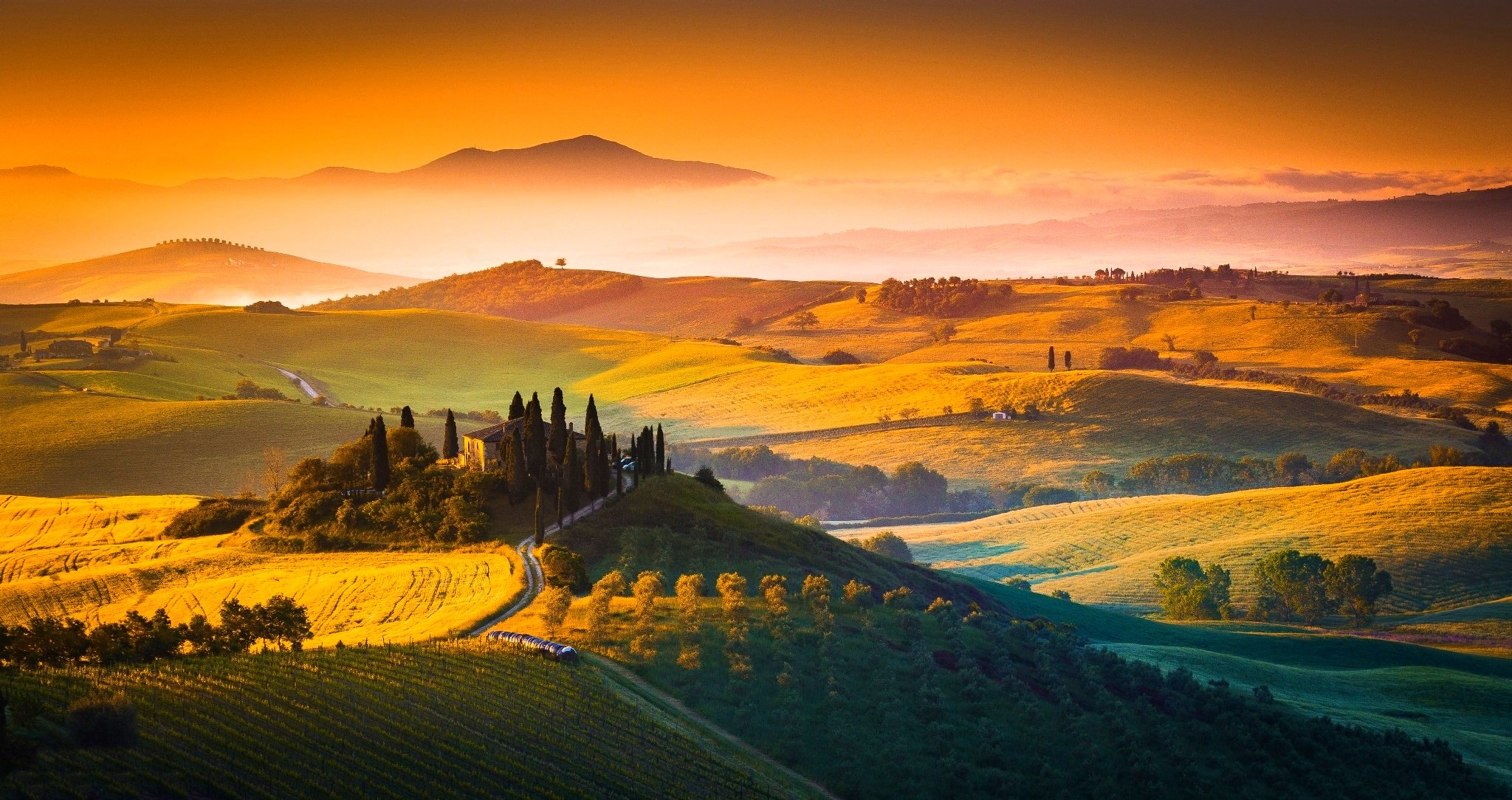 agriculture, Fields, Hills, Sunrise, Beautiful, Trees, Morning, Fog, Road, House Wallpaper