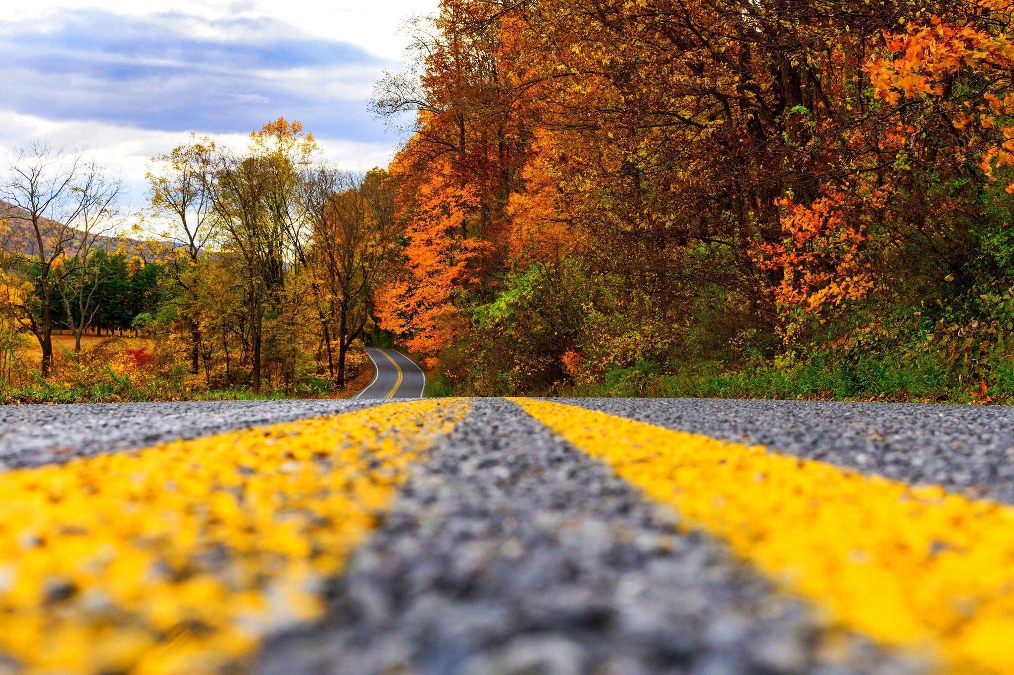 autumn, Road, Fall, Autumn, Splendor, Leaves Wallpaper