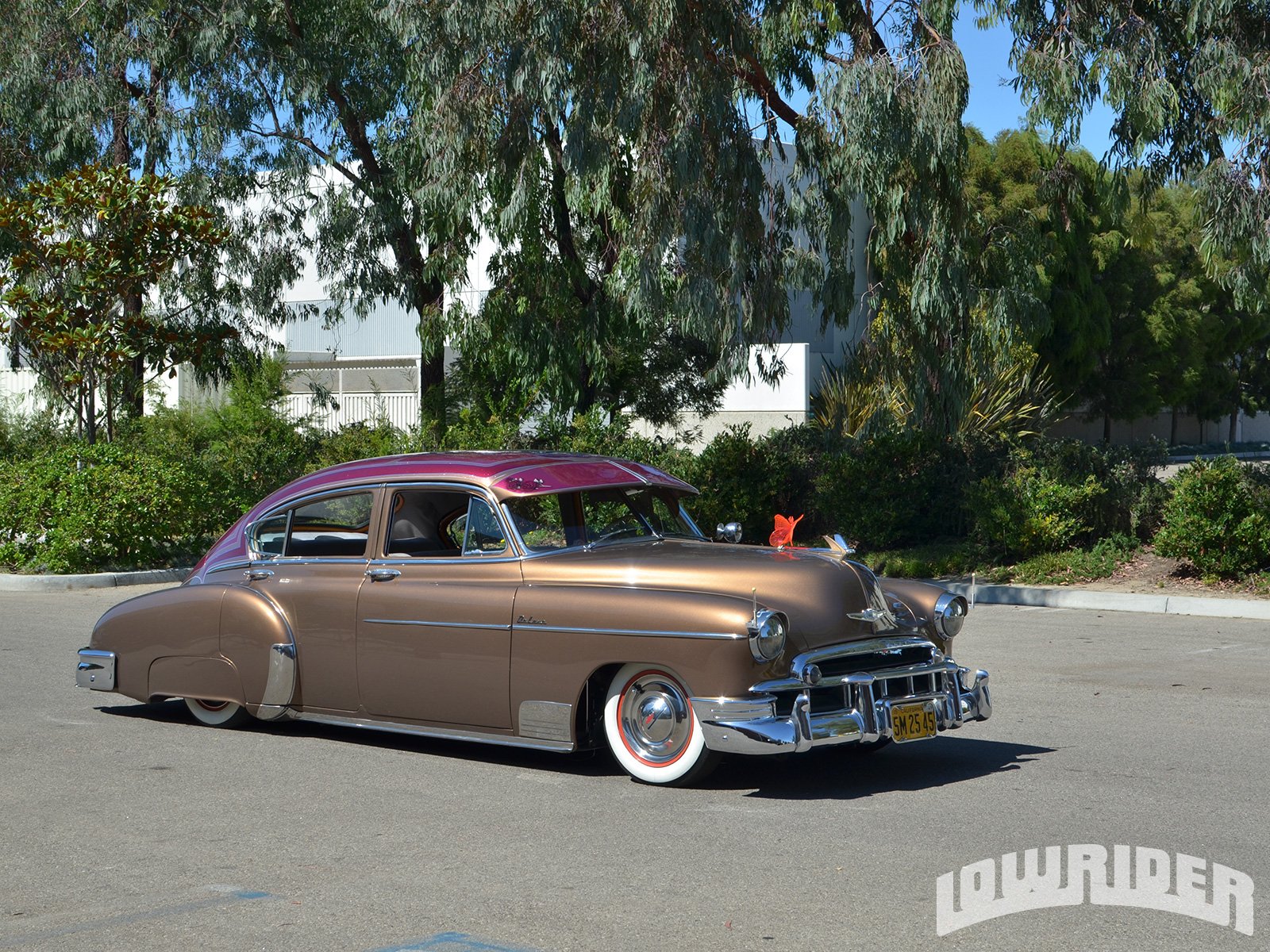 1949, Chevrolet, Fleetline, Custom, Tuning, Hot, Rods, Rod, Gangsta, Lowrider Wallpaper