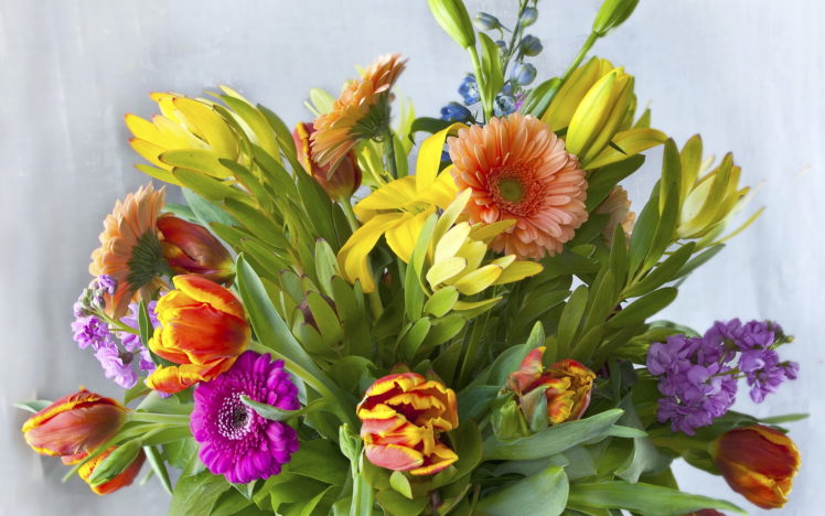 bouquets, Gerberas, Flowers HD Wallpaper Desktop Background