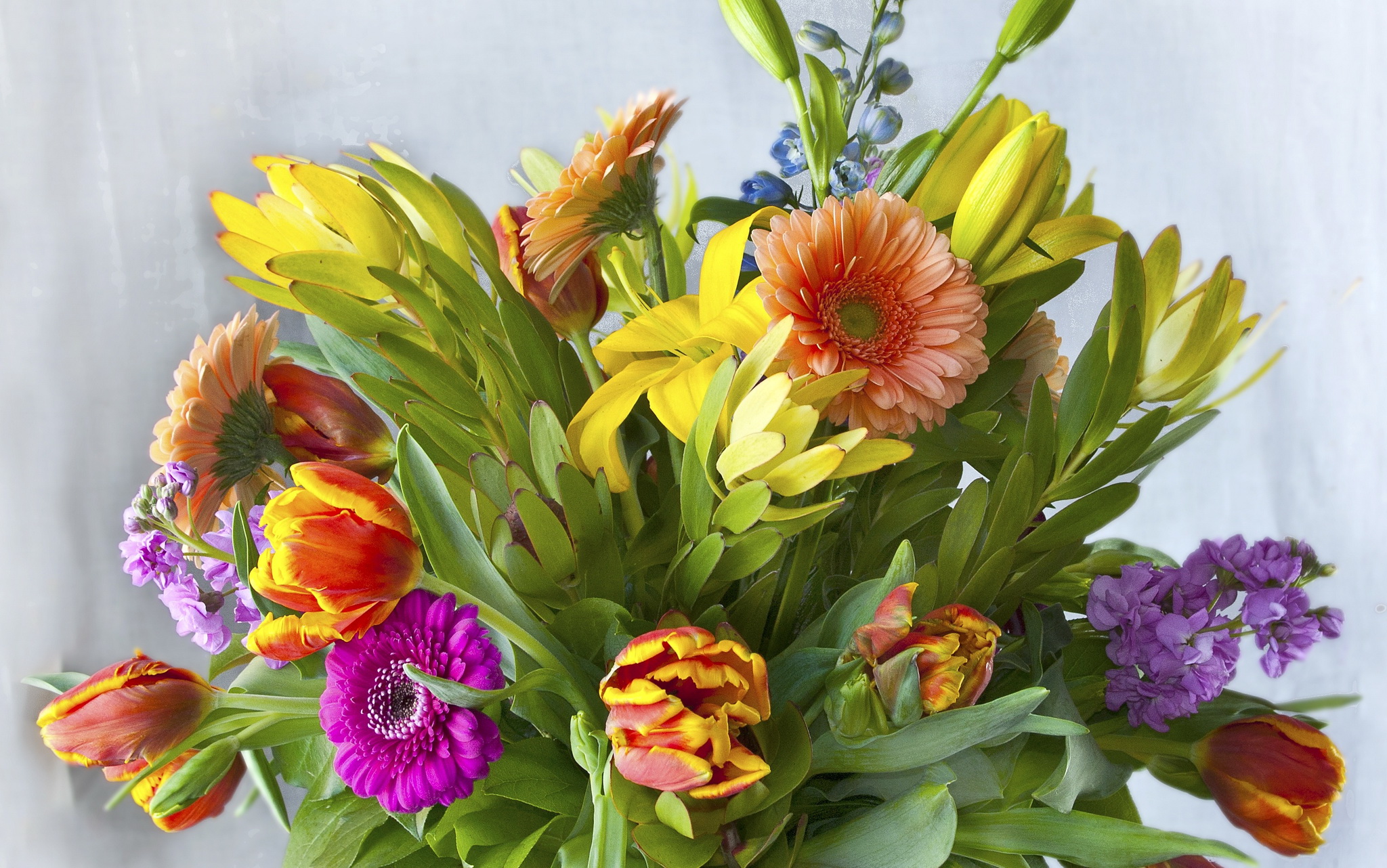 bouquets, Gerberas, Flowers Wallpaper