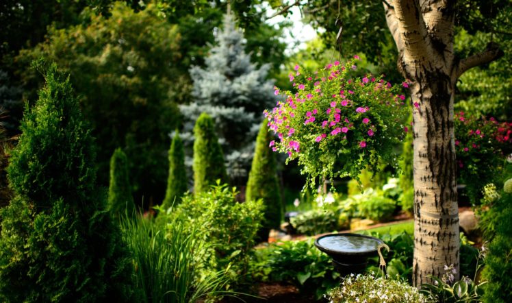 garden, Nature, Landscape, Plants, Flowers, Flower, Landscaping HD Wallpaper Desktop Background