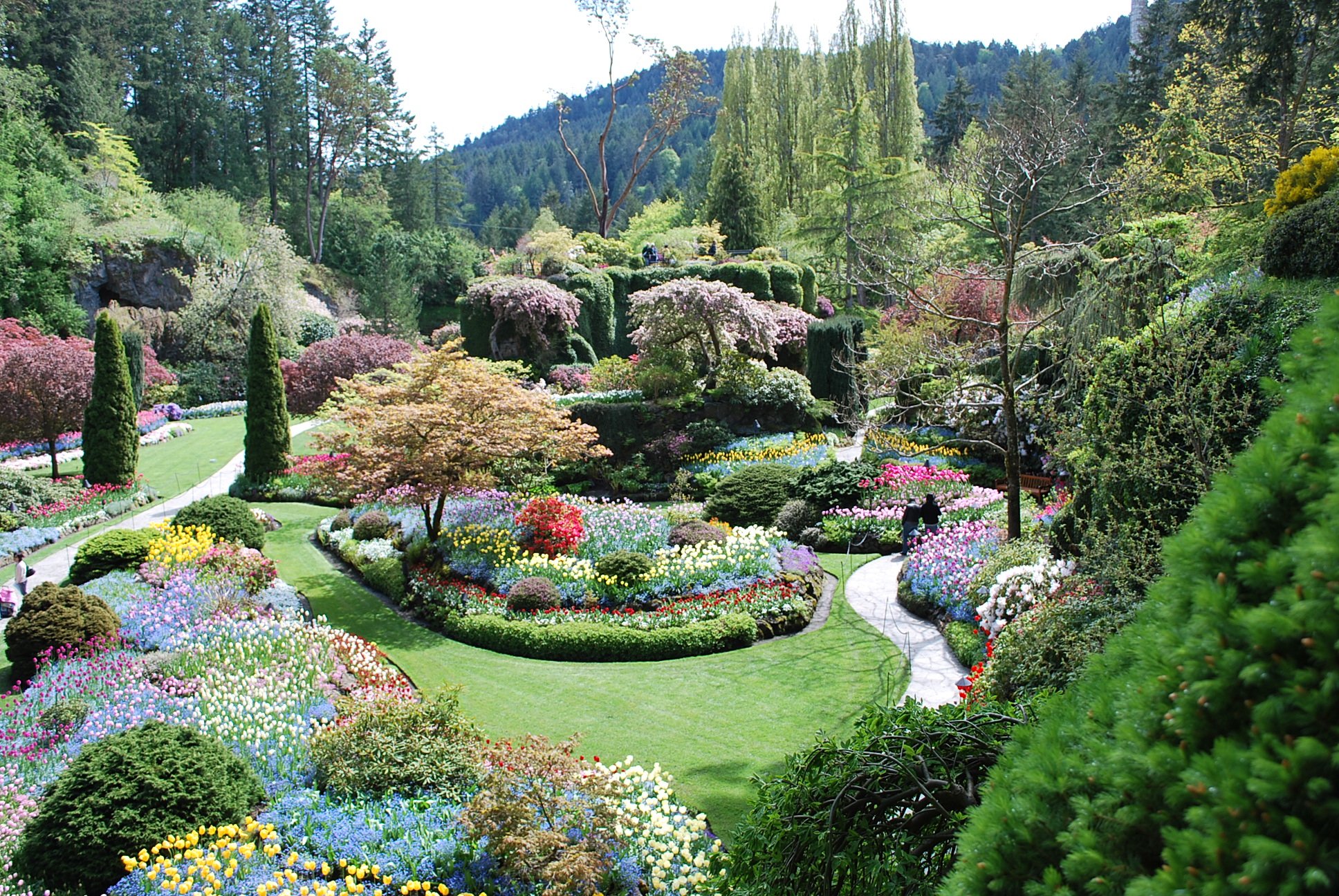 garden, Nature, Landscape, Plants, Flowers, Flower, Landscaping Wallpaper