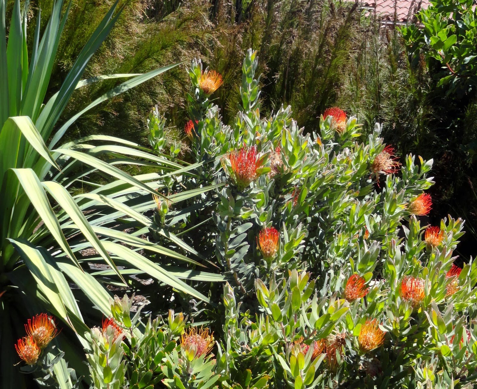 garden, Nature, Landscape, Plants, Flowers, Flower, Landscaping Wallpaper