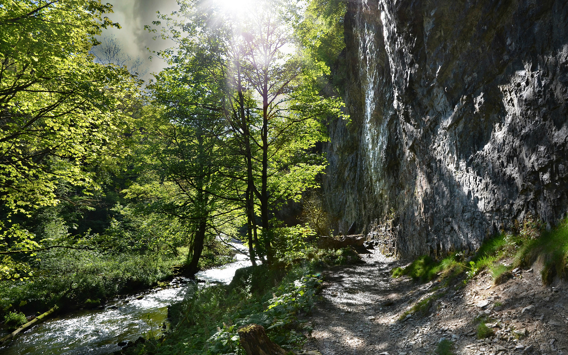 sunlight, Path, Trail, Forest, River, Trees, Rock, Stone Wallpaper
