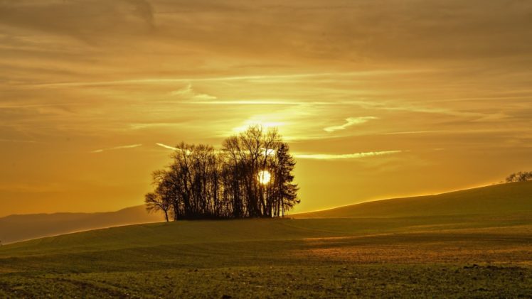 nature, Sun, Trees, Beauty, Yellow HD Wallpaper Desktop Background