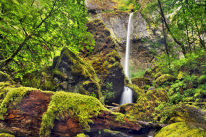 waterfalls, Rock, Trees, Rocks, Moss