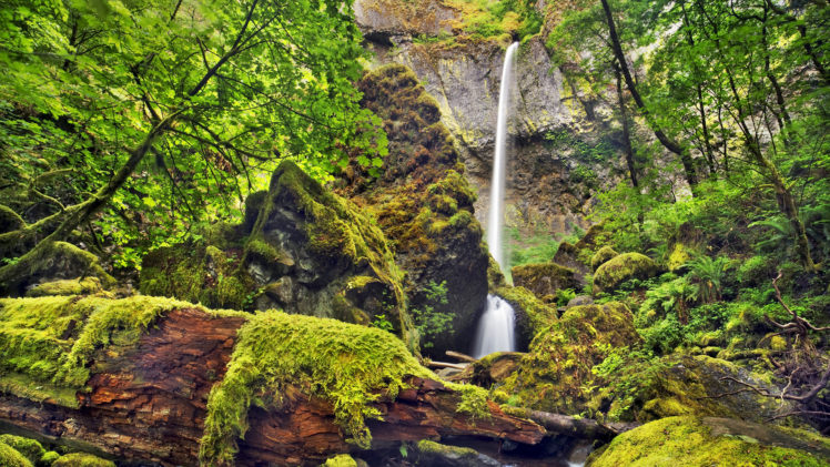 waterfalls, Rock, Trees, Rocks, Moss HD Wallpaper Desktop Background