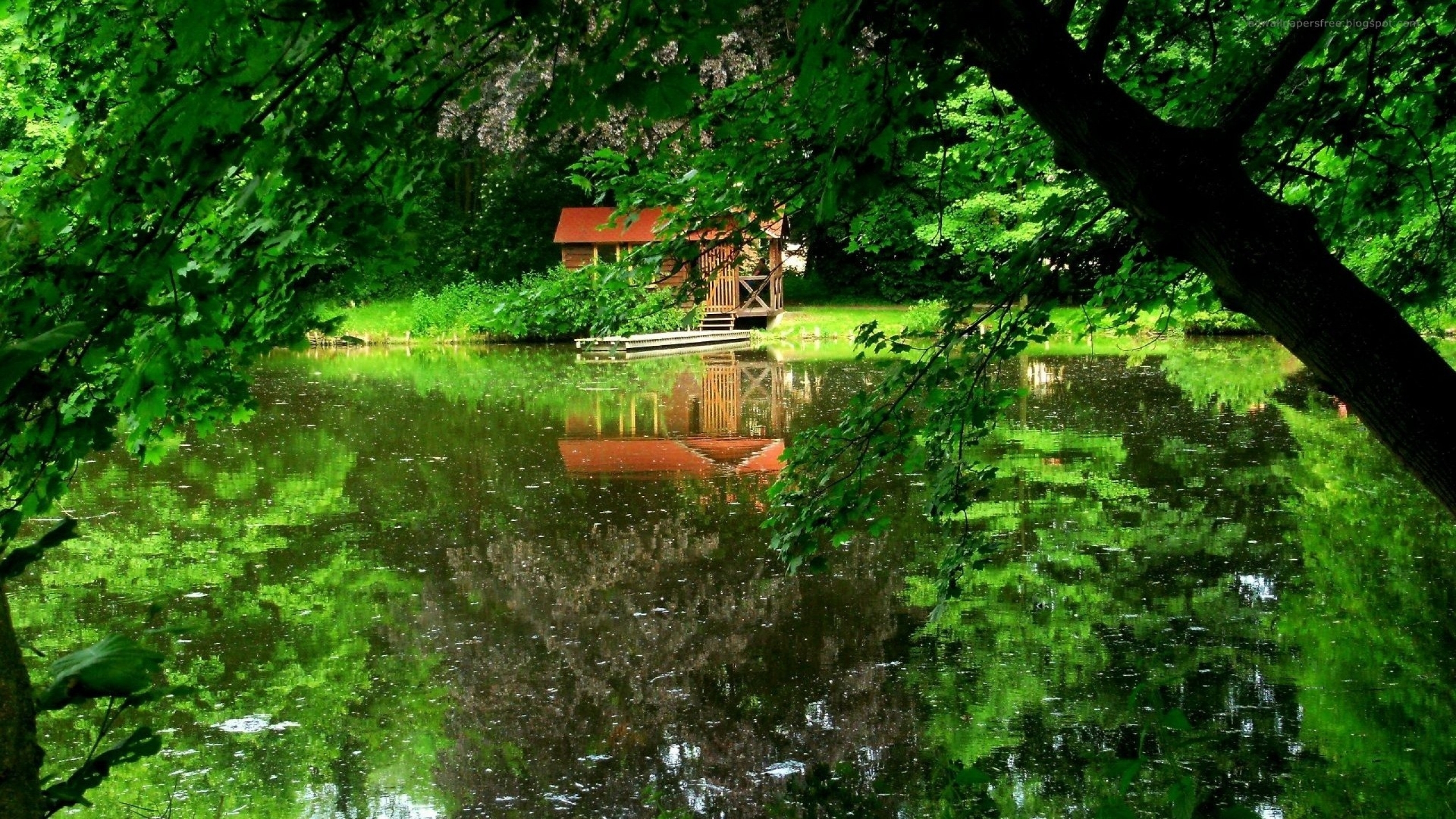 lake Wallpaper