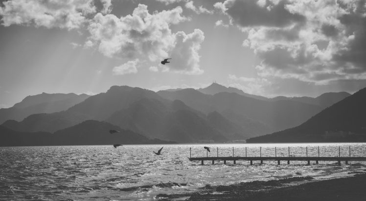 original, Photo, Turkey, Emre, Hanoglu, Sky, Clouds, Beautiful, Sea, Birds HD Wallpaper Desktop Background