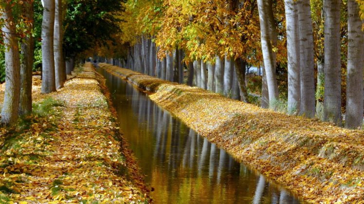 nature, Autumn, Channel, Beauty, Trees, Forest HD Wallpaper Desktop Background