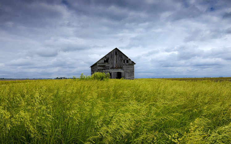 barn, Abandon, Deserted, Grass, Dilapidated HD Wallpaper Desktop Background