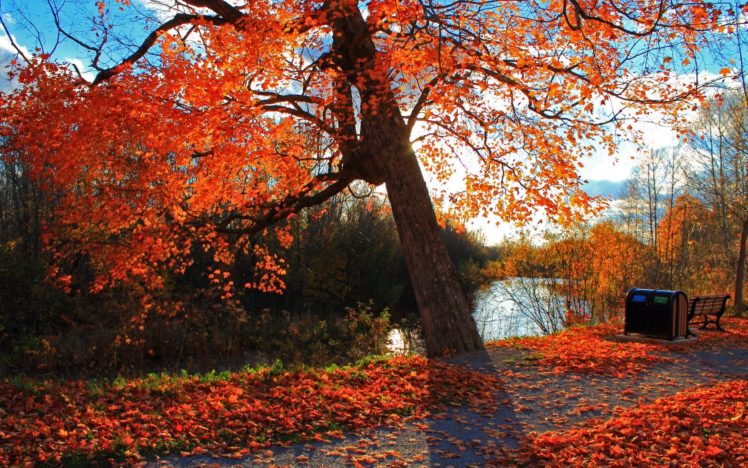 autumn, Park, River, Shop, Landscape HD Wallpaper Desktop Background