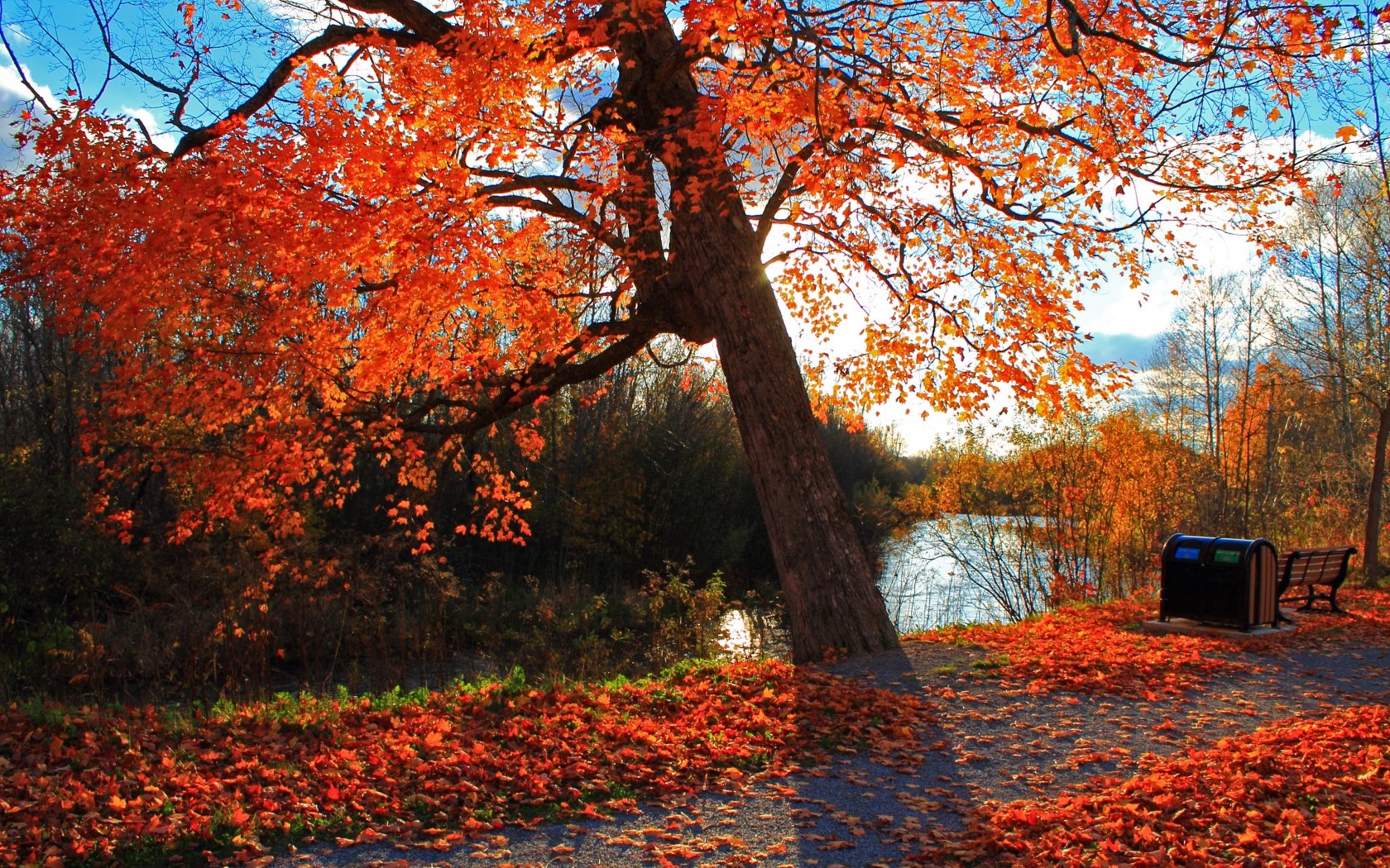 autumn, Park, River, Shop, Landscape Wallpaper