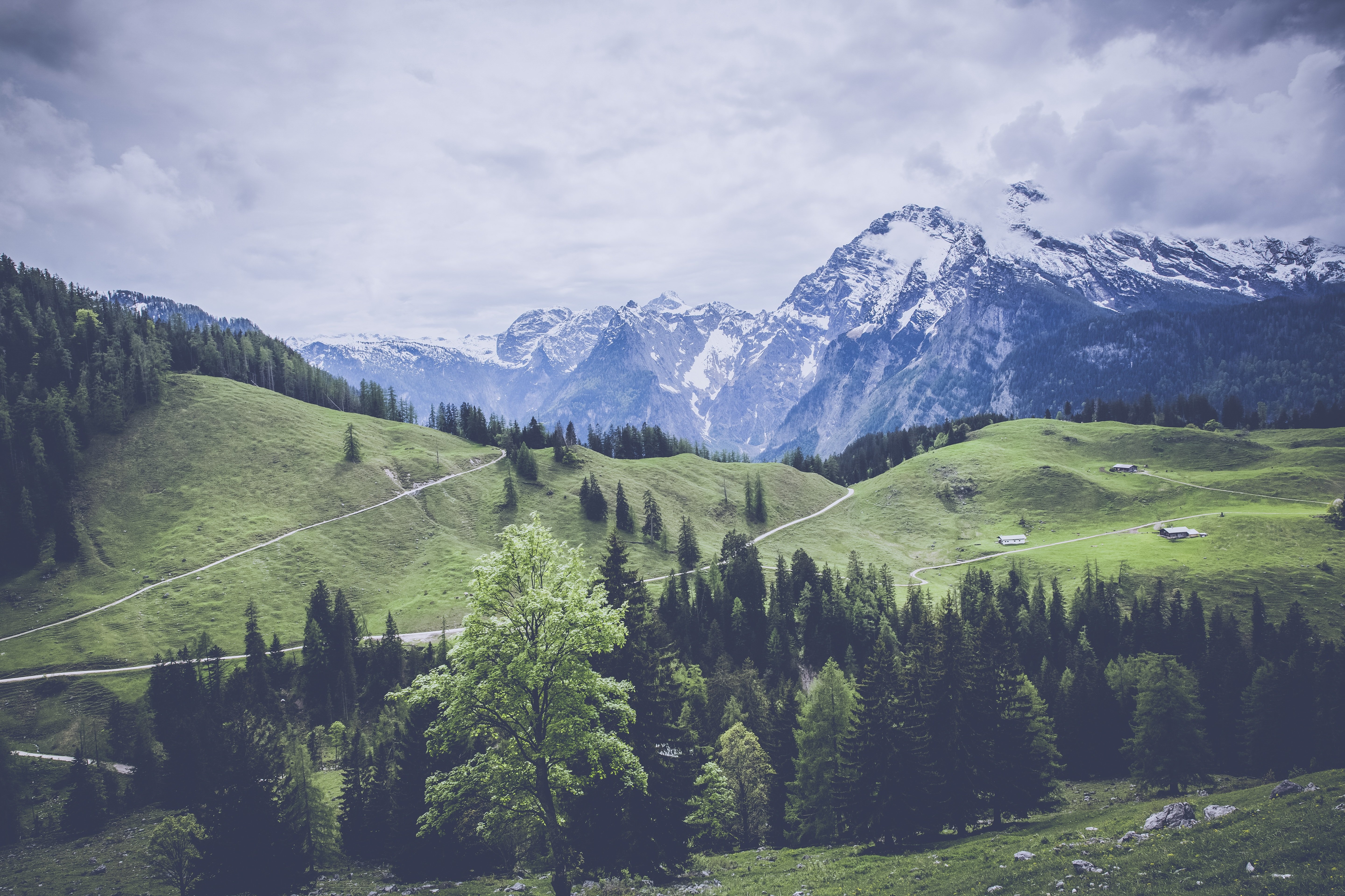 mountains, Grass, Forest, Meadow, Pasture Wallpaper