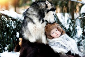 dog, Husky, Baby, Care, Forest, Snow, Winter