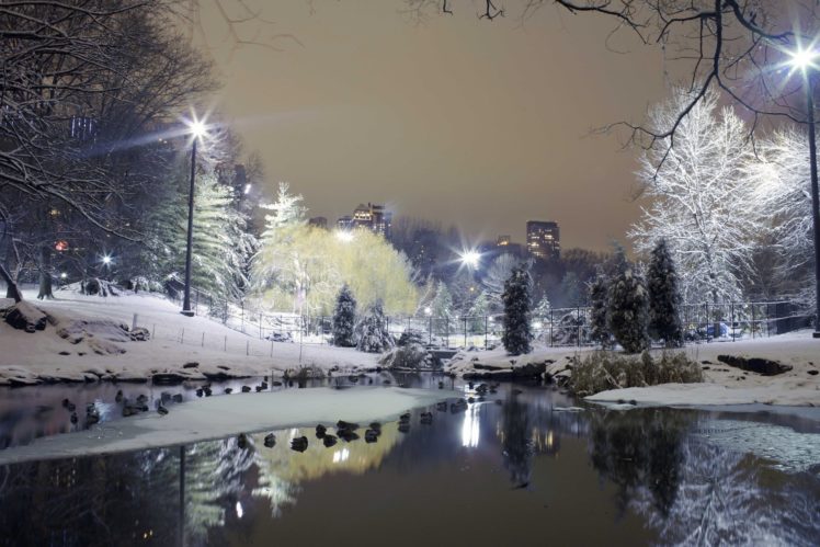 cityaeyaey, Park, Trees, Winter, Snow, Lights HD Wallpaper Desktop Background