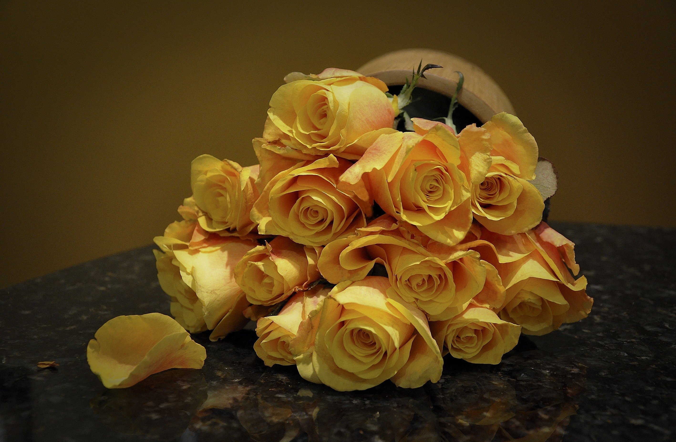 roses, Flowers, Flower, Yellow, Spotted Wallpaper
