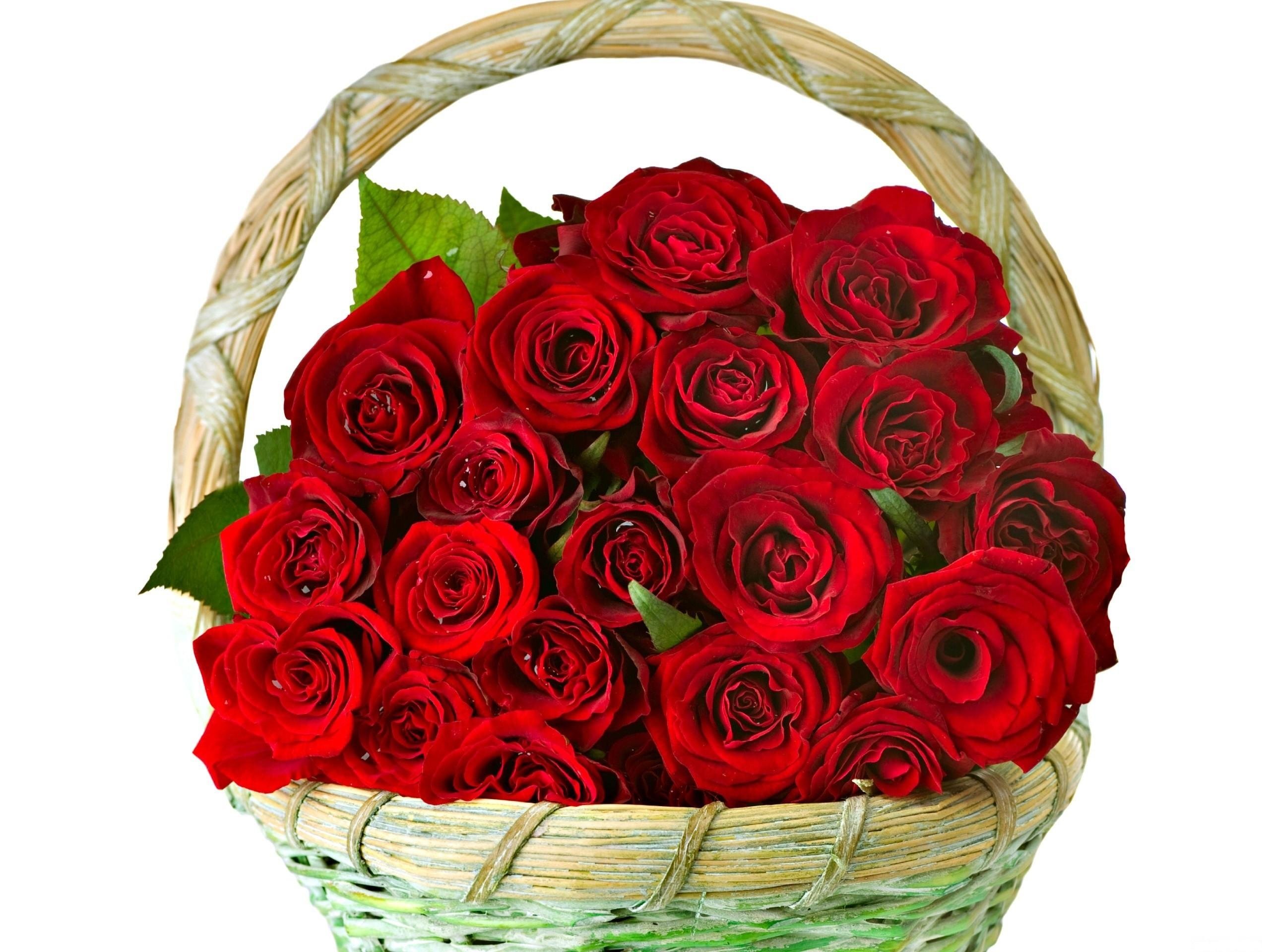 roses, Flowers, Bunch, Basket, Smartly Wallpaper