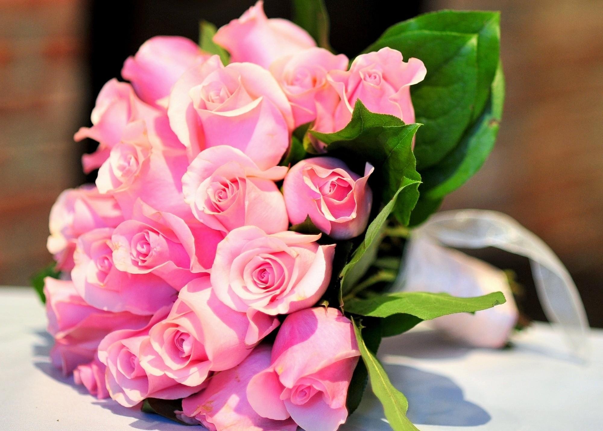 roses, Flowers, Pink, Flower, Decoration, Beautiful Wallpaper