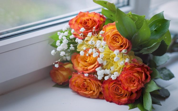 roses, Babys, Breath, Bouquet, Windowsill, Window HD Wallpaper Desktop Background