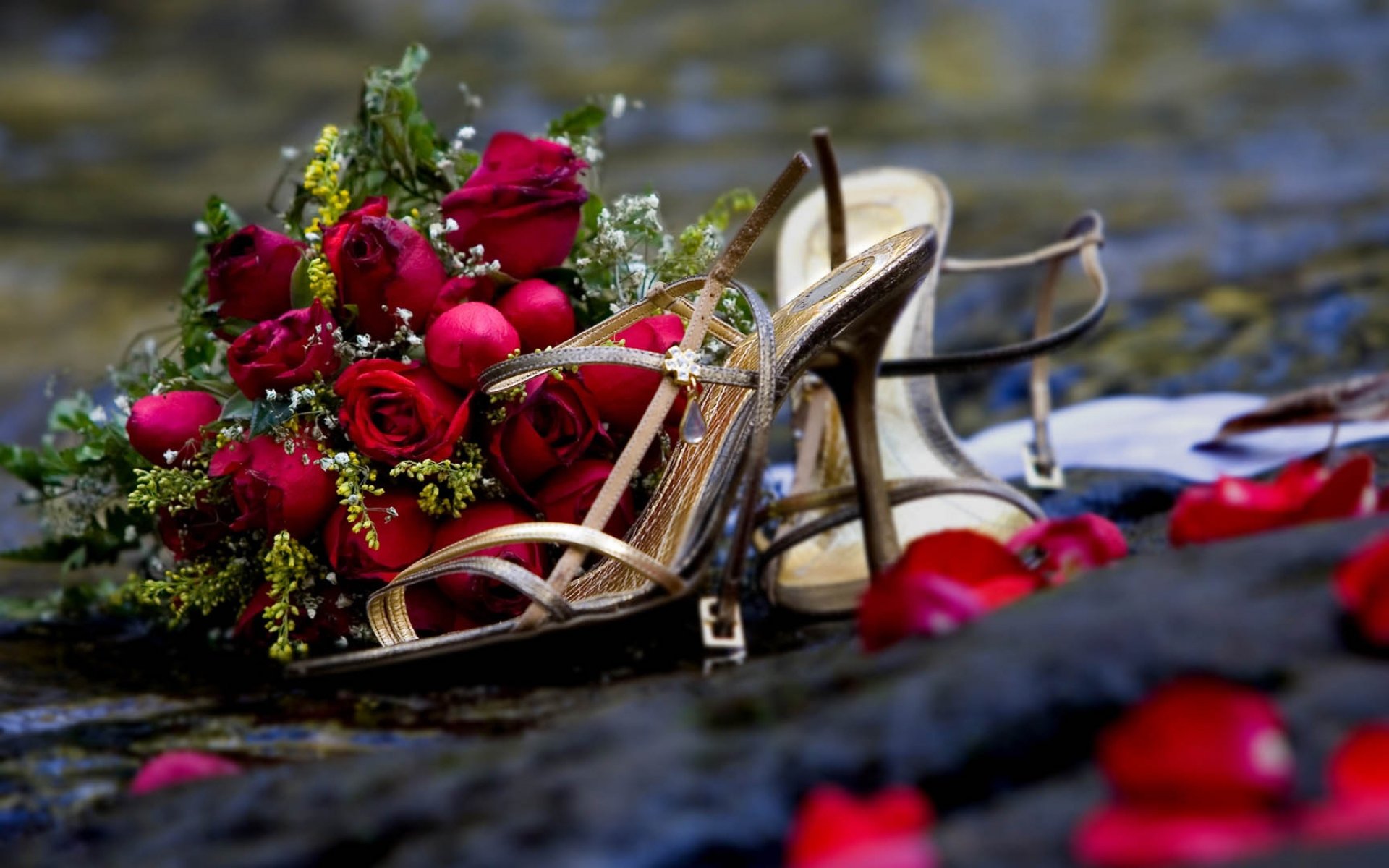 shoes, Flowers, Bouquet Wallpaper
