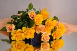 roses, Yellow, Flower, Candy, Fabric