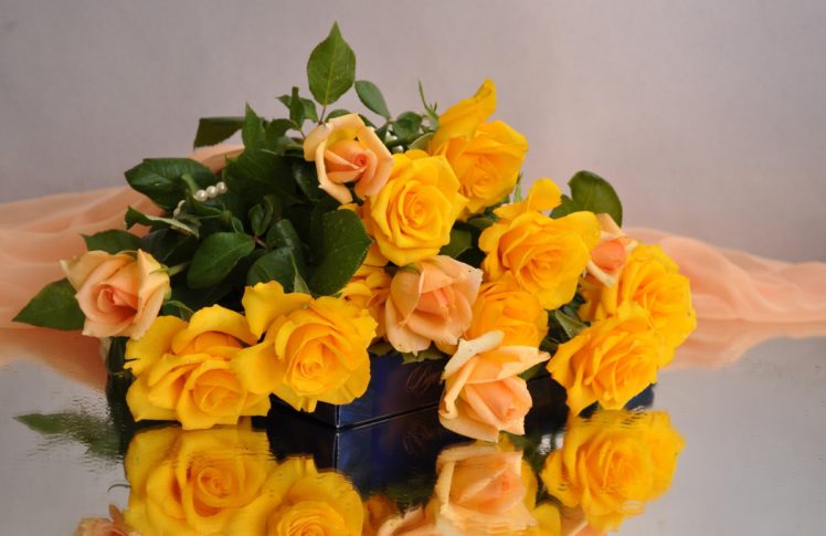 roses, Yellow, Flower, Candy, Fabric HD Wallpaper Desktop Background