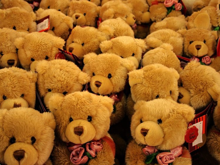 toys, Bears, Roses HD Wallpaper Desktop Background