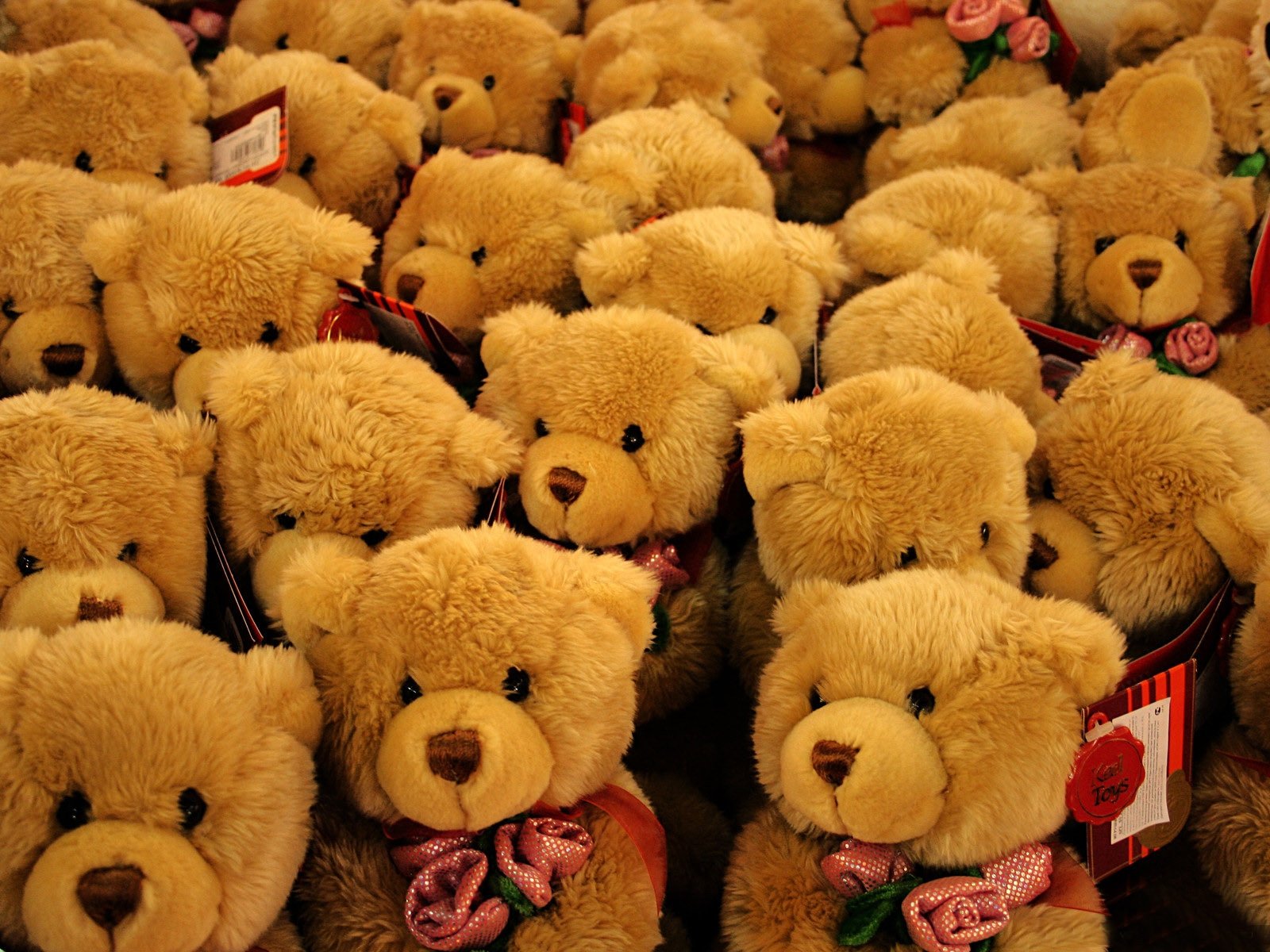toys, Bears, Roses Wallpaper