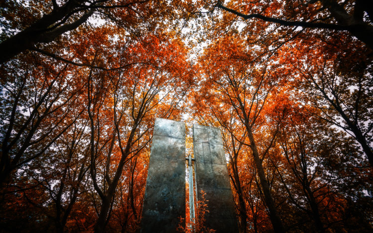 trees, Autumn, Metal HD Wallpaper Desktop Background