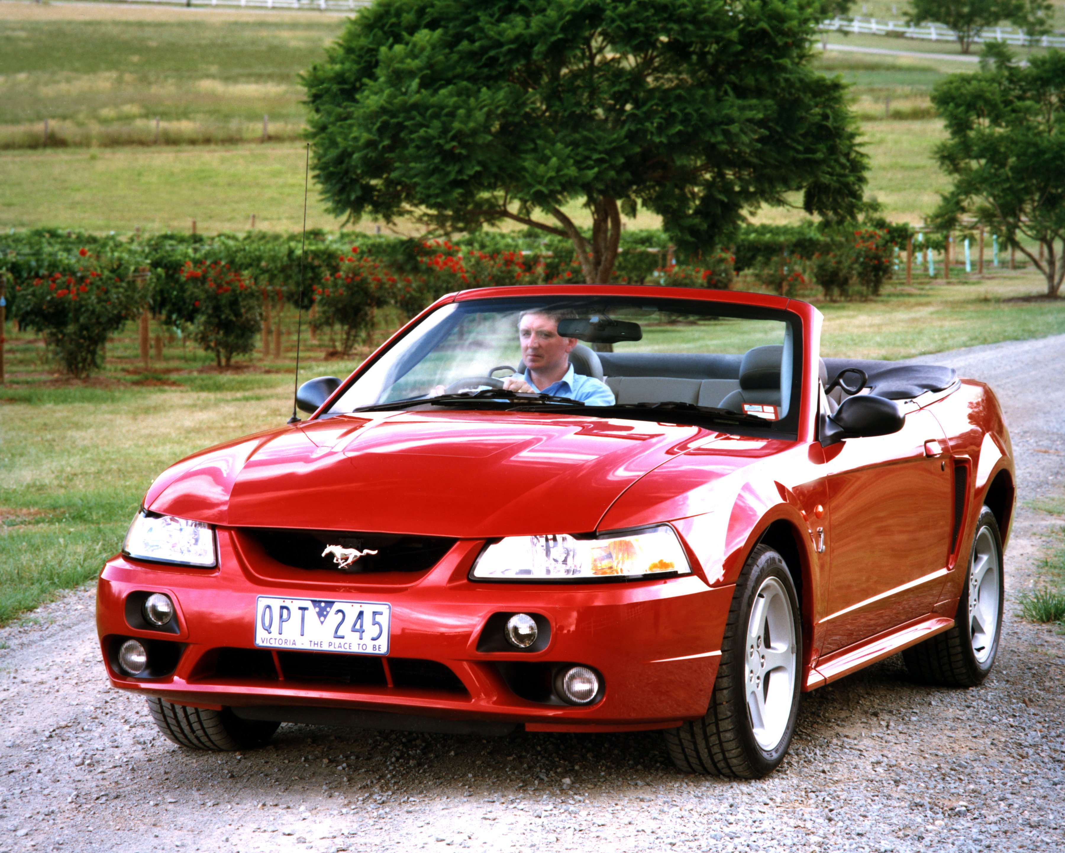 2001, Ford, Mustang, Cobra, Convertible, Au spec, Muscle Wallpapers HD